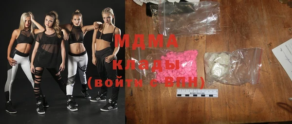сатива Новозыбков