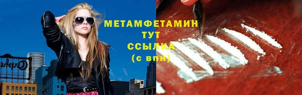 сатива Новозыбков