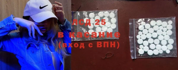 сатива Новозыбков