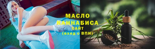 сатива Новозыбков