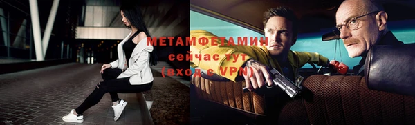 сатива Новозыбков
