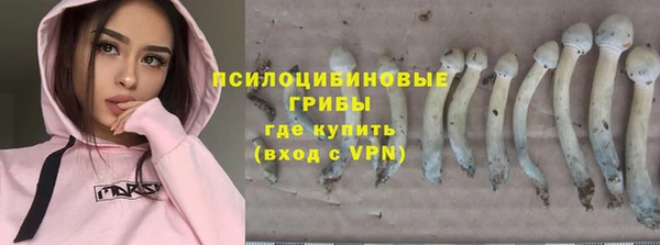 PSILOCYBIN Новодвинск