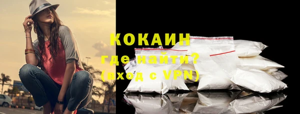 сатива Новозыбков