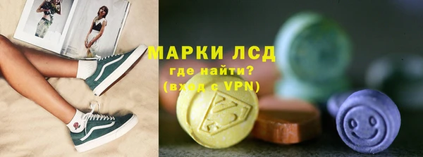 сатива Новозыбков