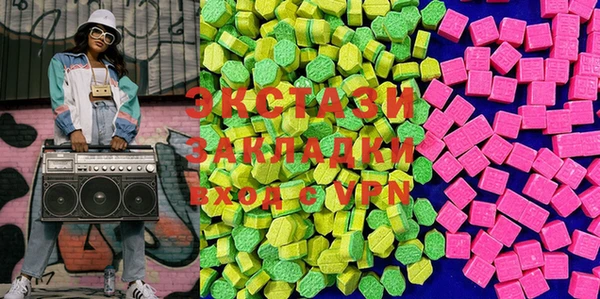 сатива Новозыбков