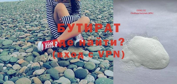 сатива Новозыбков