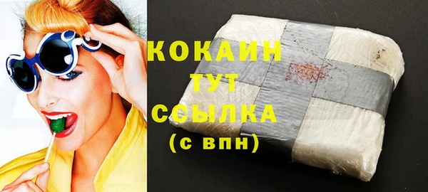 сатива Новозыбков