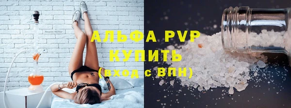 сатива Новозыбков