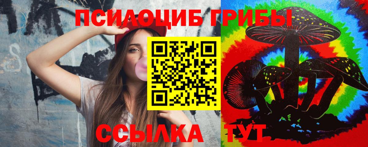 Галлюциногенные грибы Psilocybe  Вход с VPN  магазин продажи наркотиков  Серпухов 
