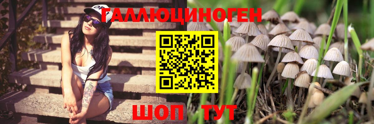 наркота  Псилоцибиновые грибы прущие грибы  Серпухов  Галлюциногенные грибы прущие грибы 