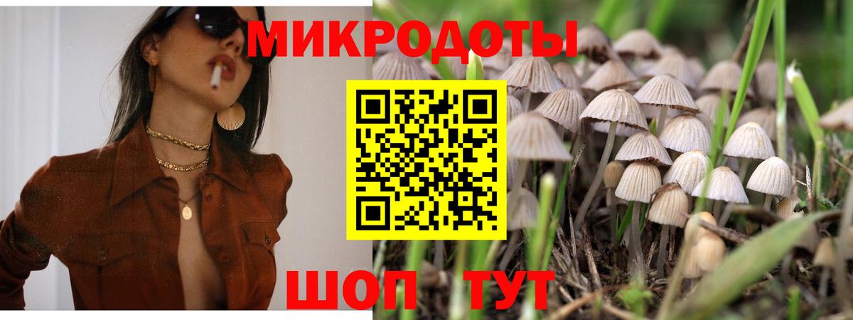 Галлюциногенные грибы прущие грибы Серпухов